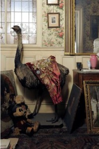 appartement-70ans-abandonné-boldini appartement-70ans-abandonné-boldini